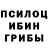 Псилоцибиновые грибы ЛСД Anvarova Roza