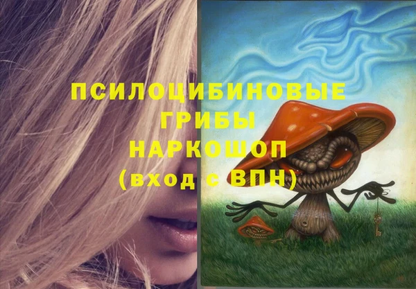 бошки Алексеевка