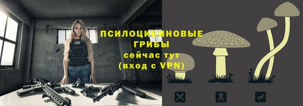 бошки Алексеевка