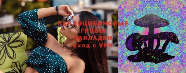 бошки Алексеевка