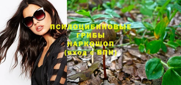 бутират Алзамай